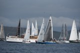 bluefin 2555c start whyw24 mon 750 7913